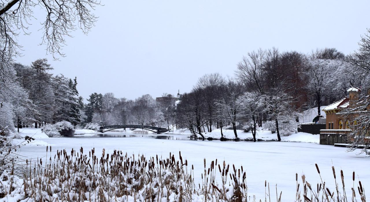 A peaceful, snowy scene at Washington Park A peaceful, snowy scene at Washington Park