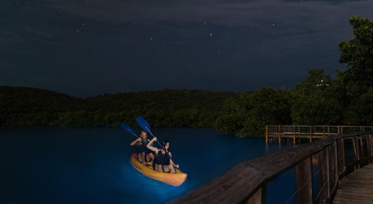 Night kayaking on Laguna Grande in Fajardo, Puerto Rico