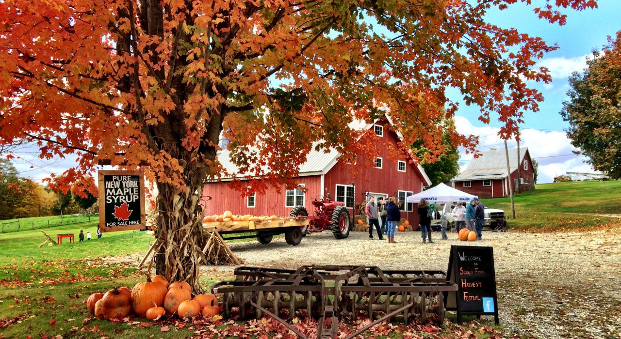 A gorgeous autumn afternoon at Soukup Farms, a third-generation maple syrup producer A gorgeous autumn afternoon at Soukup Farms, a third-generation maple syrup producer