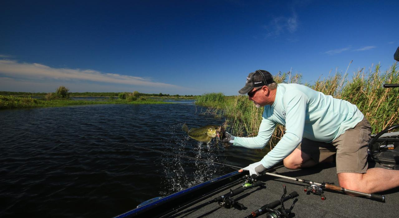 Reeling in a bass on a fishing charter Reeling in a bass on a fishing charter