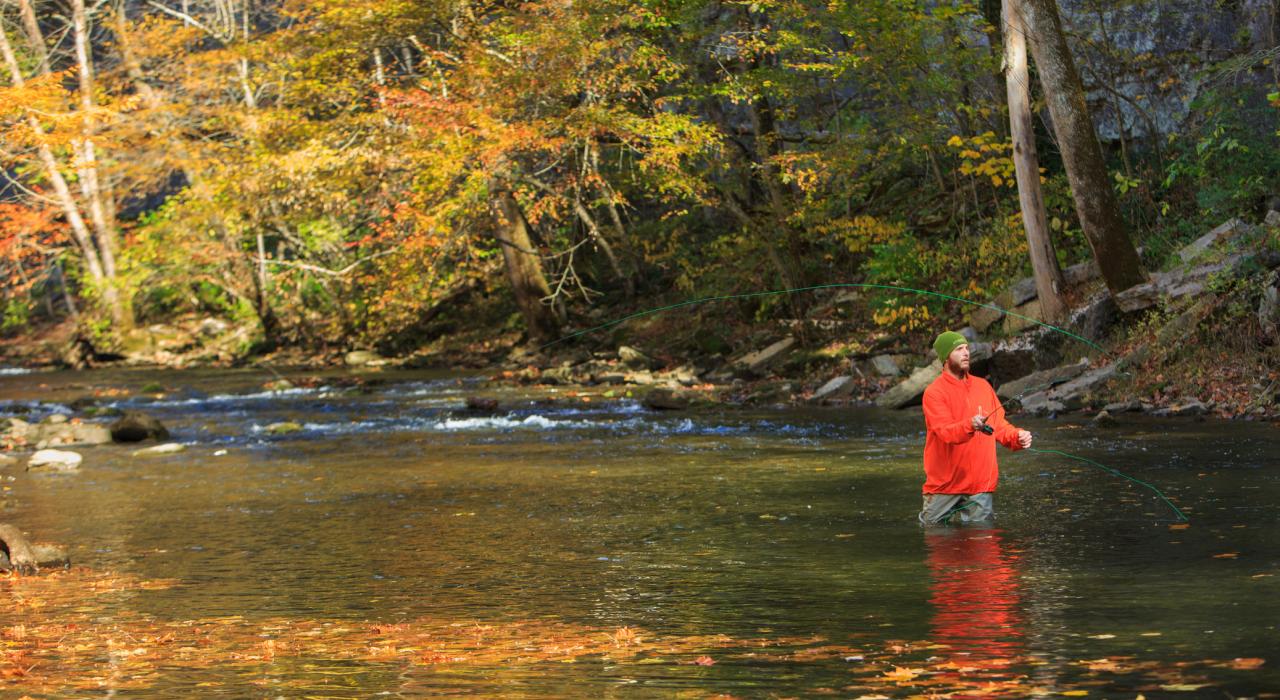 Fly-fishing excursion at Boone Creek Outdoors