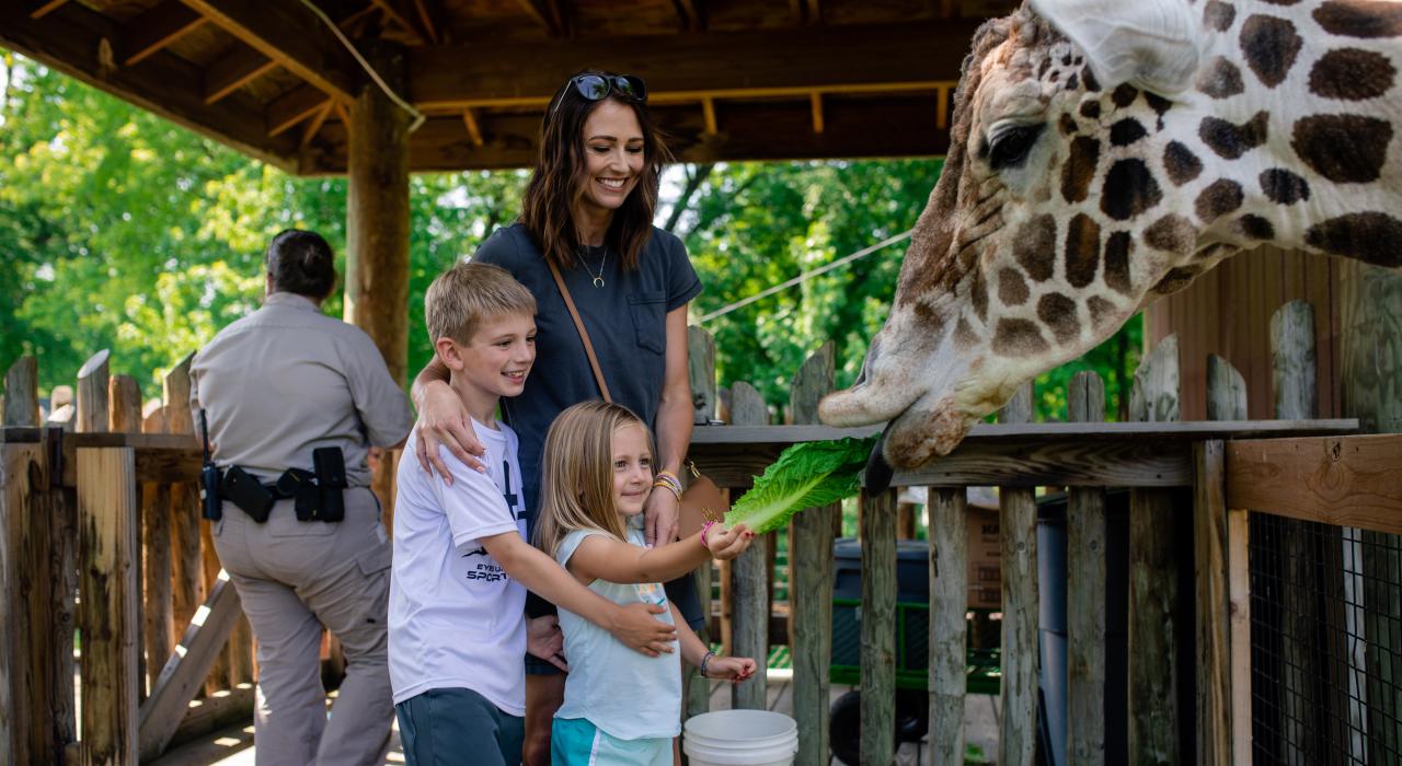 Feeding a giraffe at the Great Plains Zoo