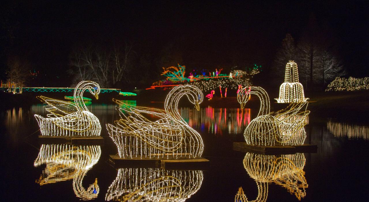 A spectacular holiday display at Bellingrath Gardens’ Magic Christmas in Lights event