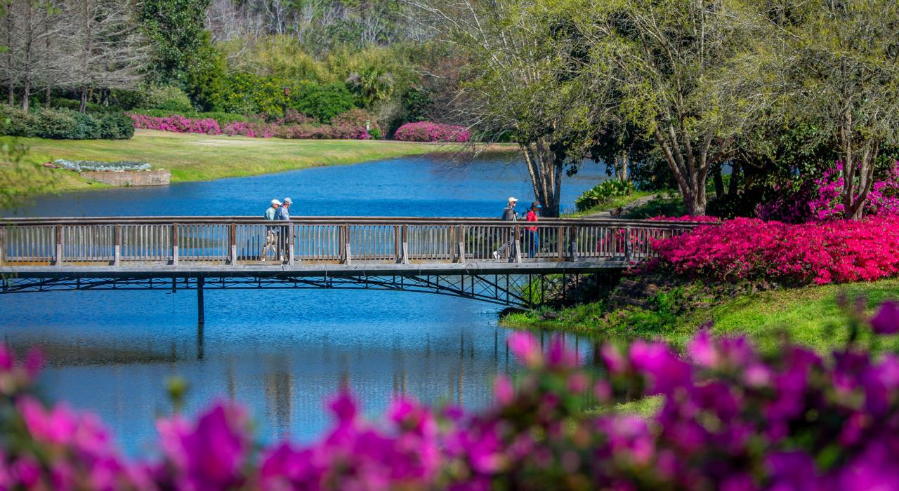 A scenic stroll through Bellingrath Gardens & Home, decorated by blooming azaleas