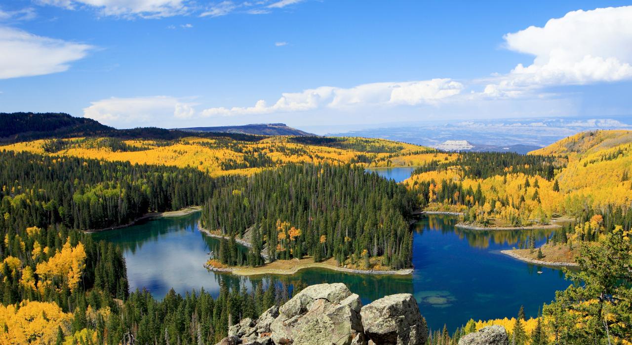 Striking fall colors decorate Grand Mesa National Forest