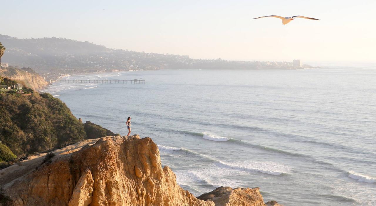 Viewing the La Jolla coastline from the sea cliffs