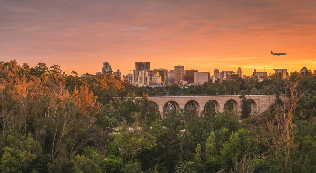 Viewing the city skyline from Balboa Park