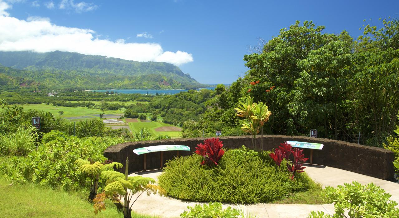 The beautiful overlook at Hanalei National Wildlife Refuge