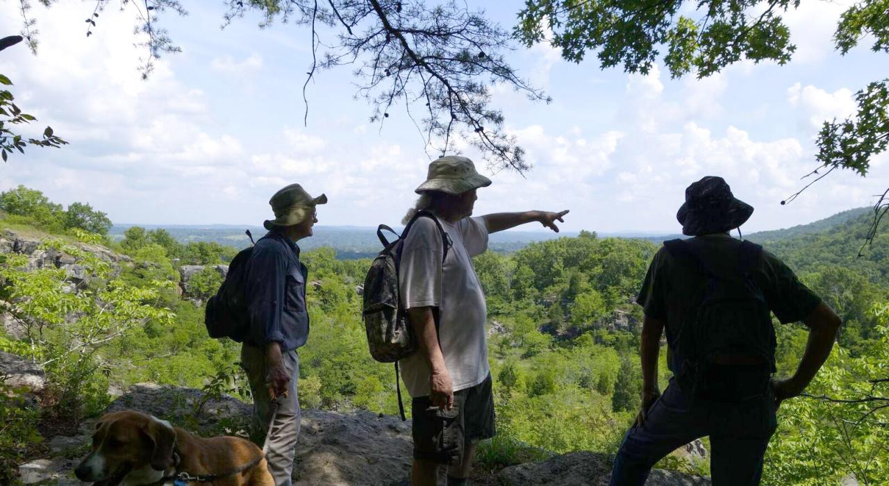 A scenic hike at Ruffner Mountain Nature Preserve