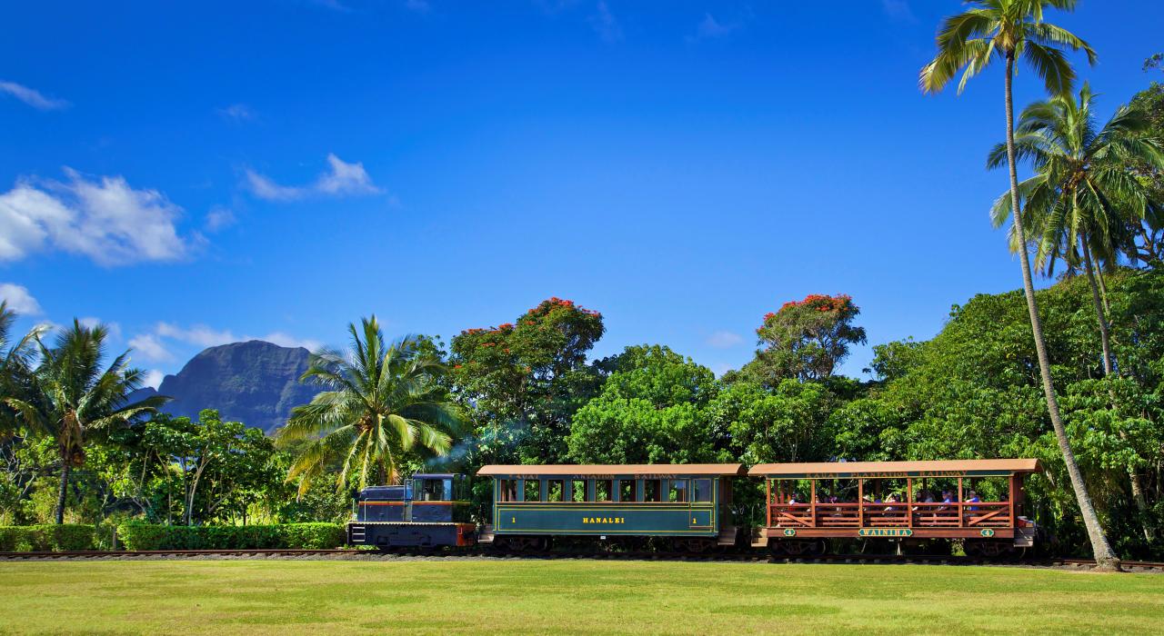 Take a ride on the Kauaʻi Plantation Railway at Kilohana Plantation