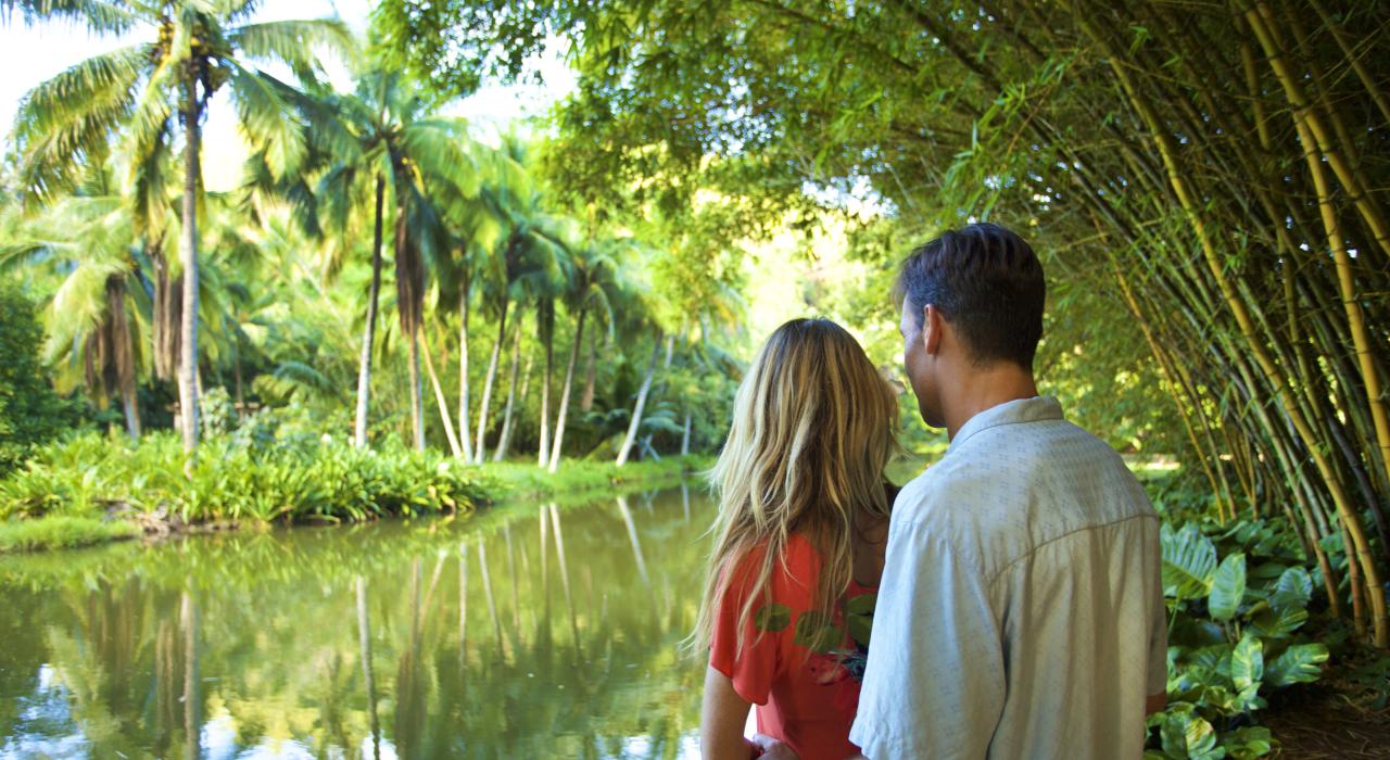 Admiring the tranquility of National Tropical Botanical Garden's Allerton Garden