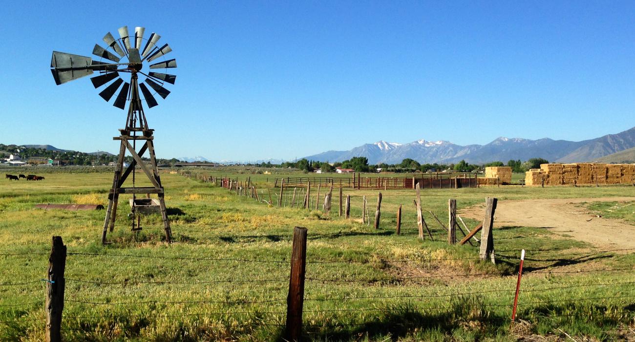 farmland just outside the city
