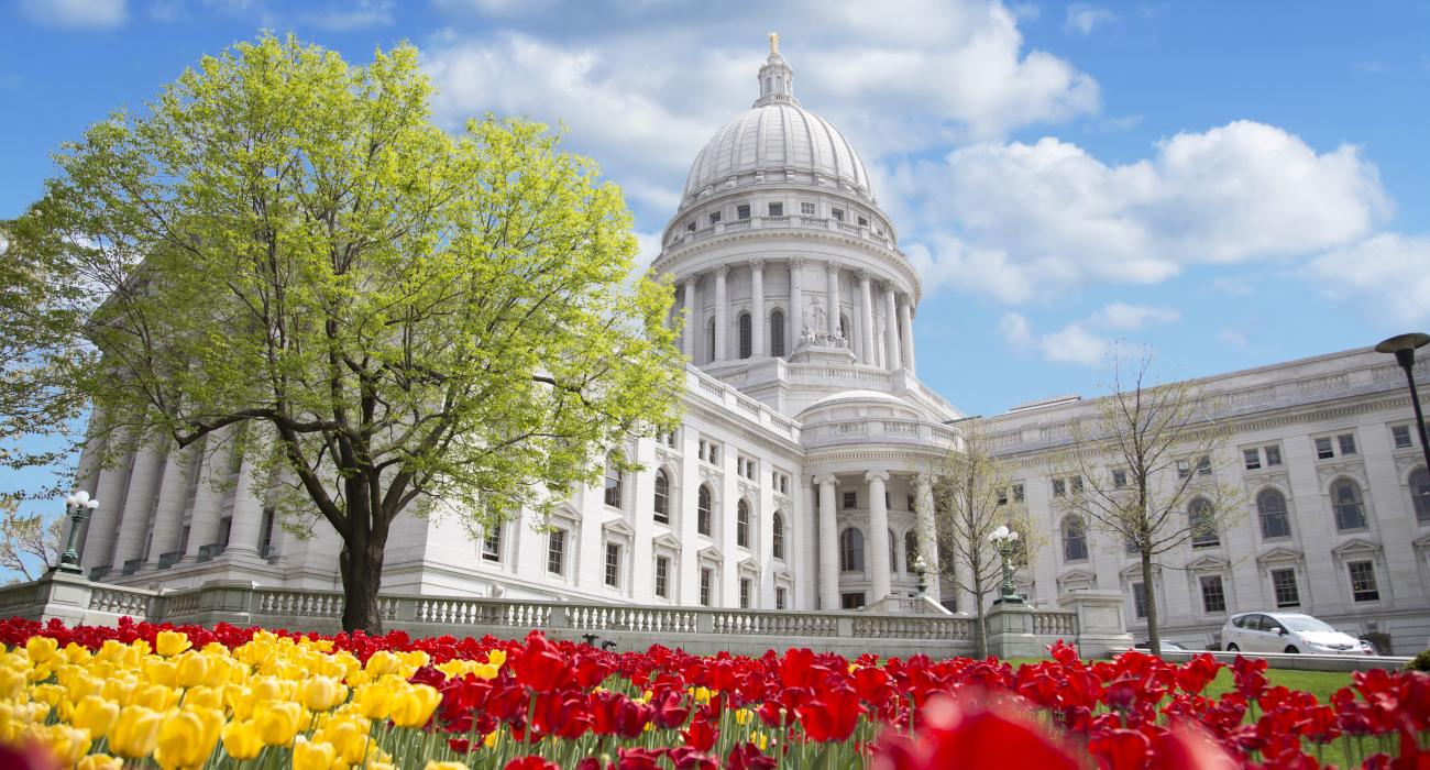 麥迪遜州議會大廈外的鬱金香