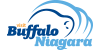 Official Buffalo Travel Sites