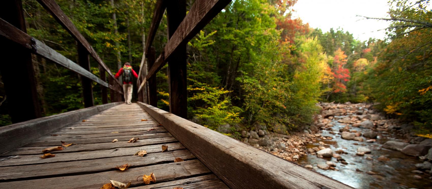 紅葉時節到白山健行