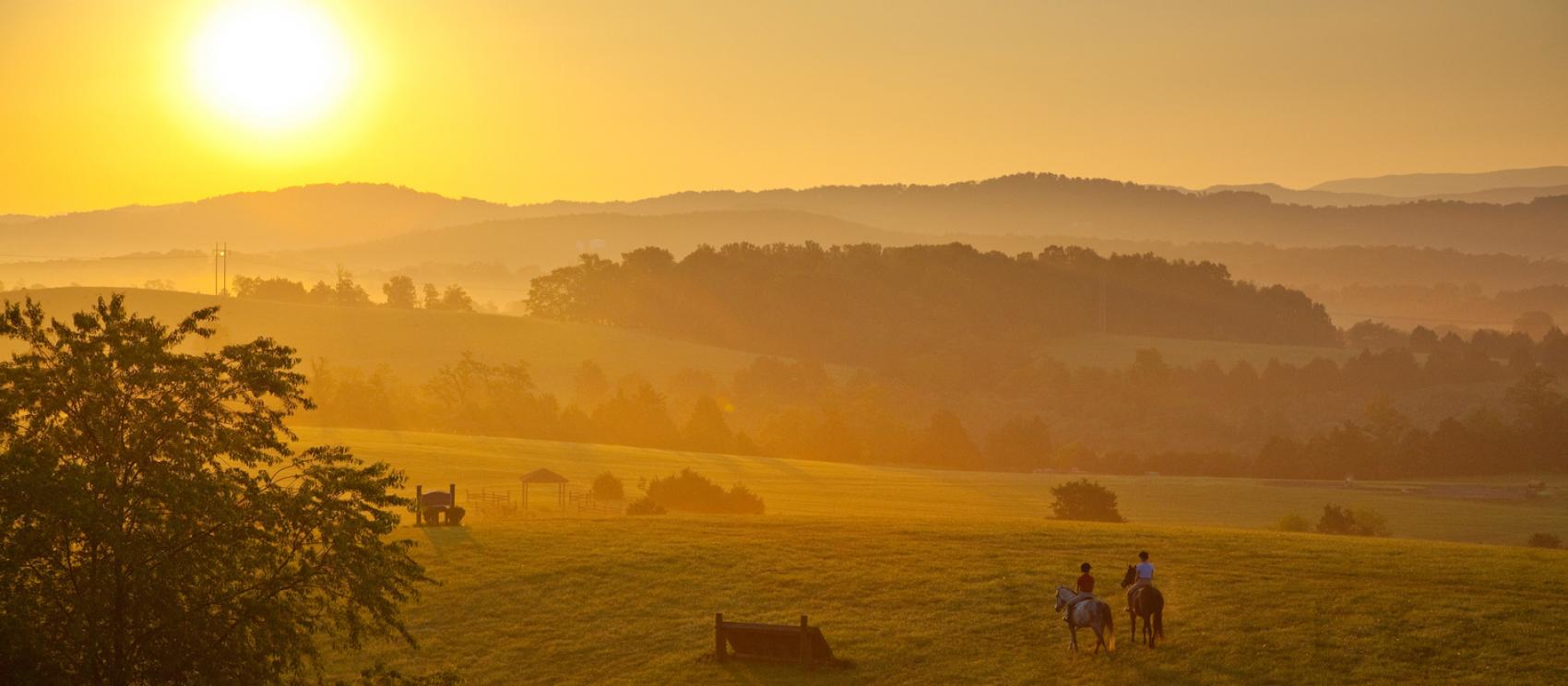 清晨陽光的溫暖光芒照耀著列克星頓維吉尼亞馬場中心