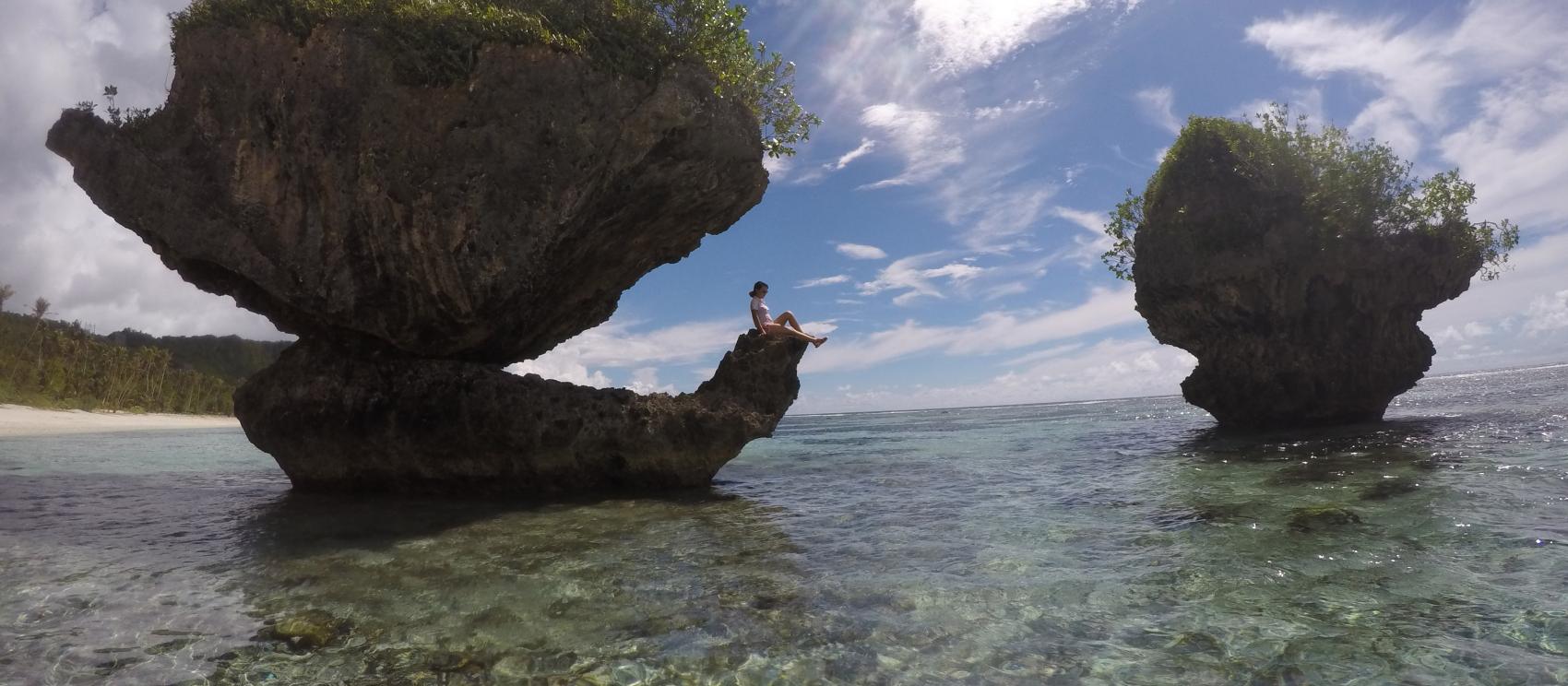 棲息在兩蕈狀岩之一的女子 棲息在兩蕈狀岩之一的女子