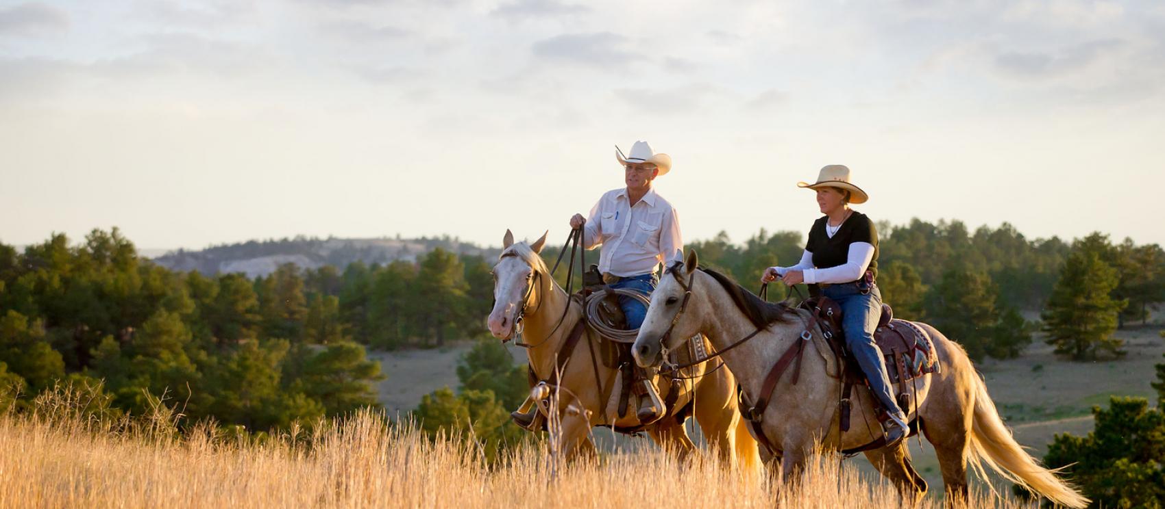在大平原縱馬馳騁
