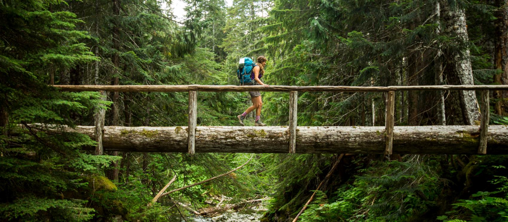 穿越奧林匹克國家公園的人行橋
