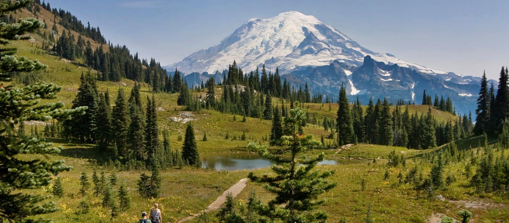 在偏遠小徑上向著壯麗的雷尼爾山健行