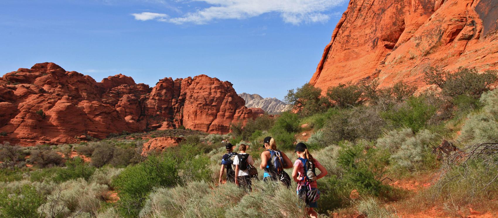 沿著雪谷州立公園的拓荒者留名之路健行