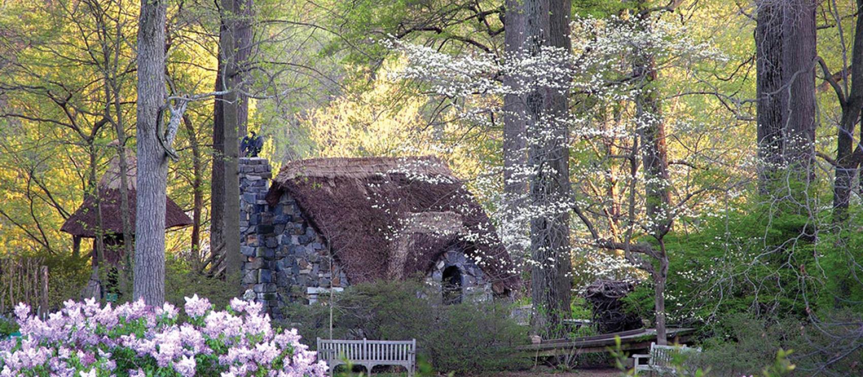 魔幻森林裡的溫特圖爾博物館、花園與圖書館 魔幻森林裡的溫特圖爾博物館、花園與圖書館