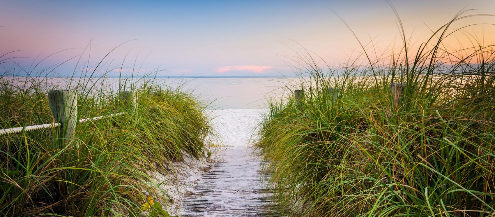 大西洋海岸通往海灘秘境的小徑