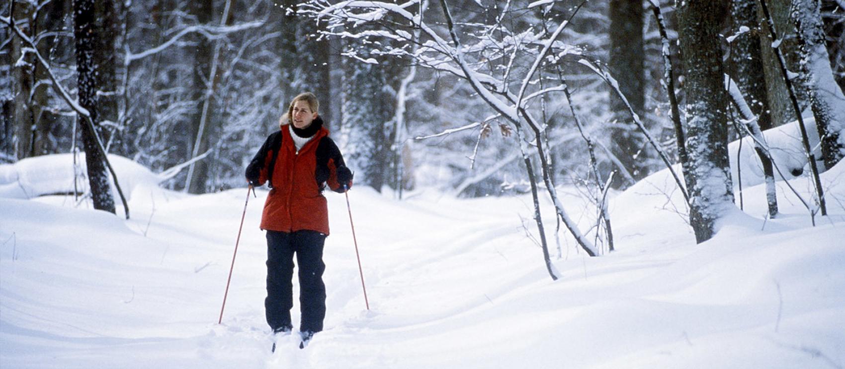 穿越奧克蘭哈靈頓莊園州立公園的越野旅行