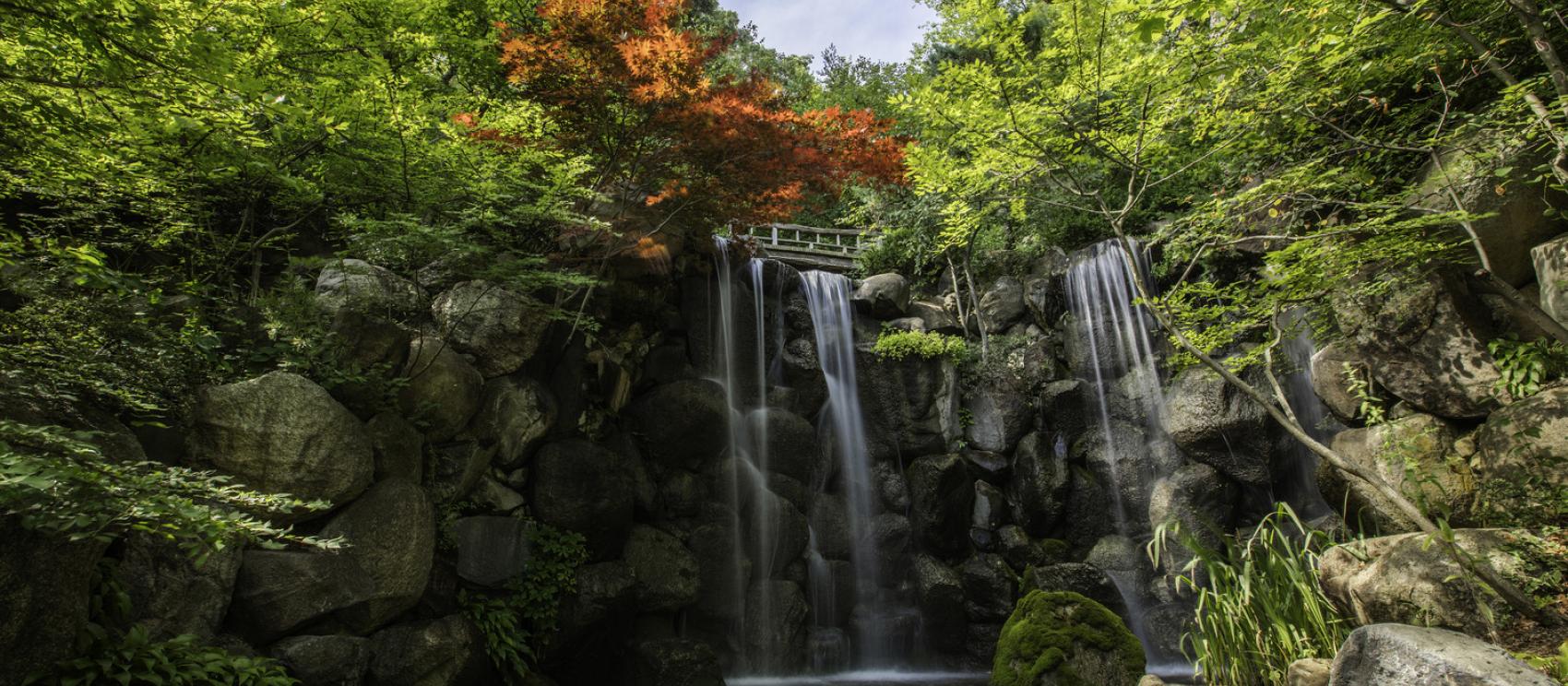 羅克福德安德森日本庭園的瀑布