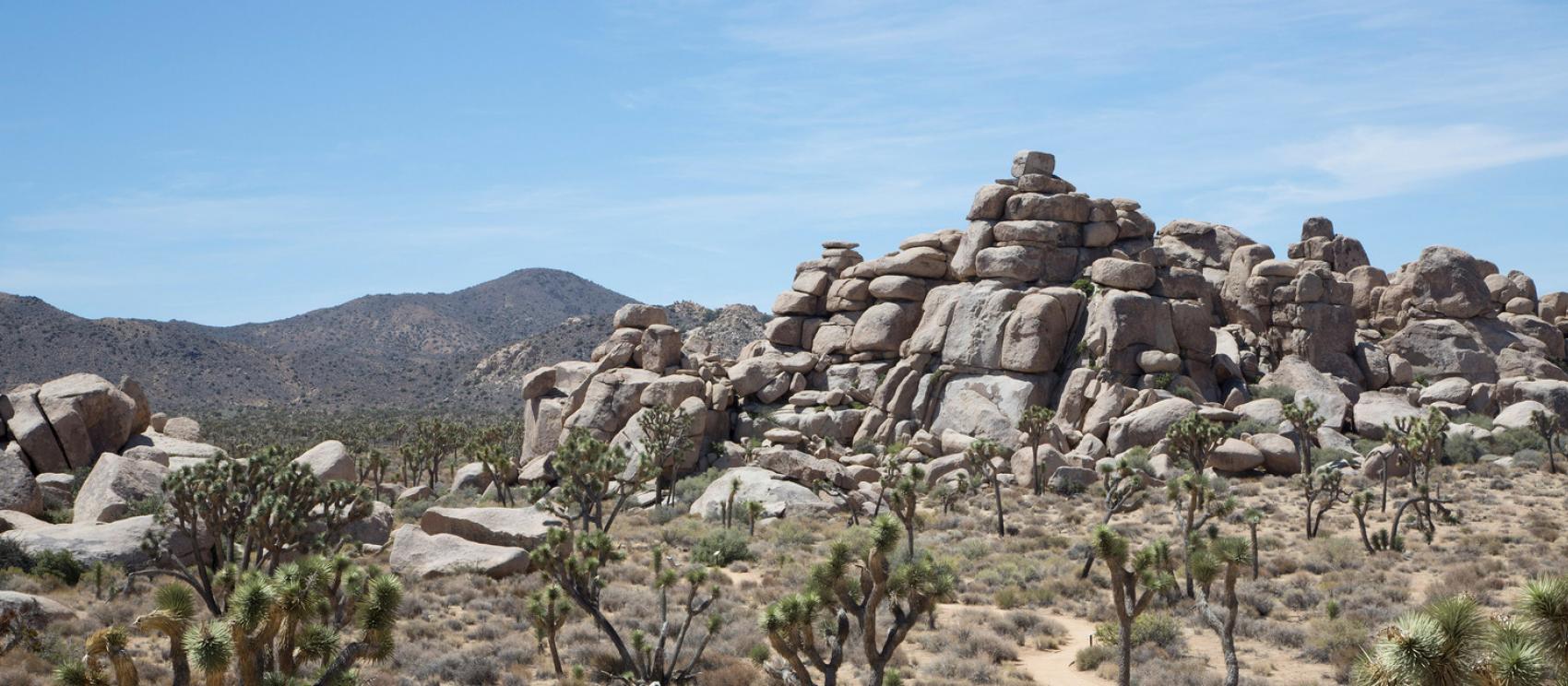約書亞樹國家公園中適合攀爬的岩石堆