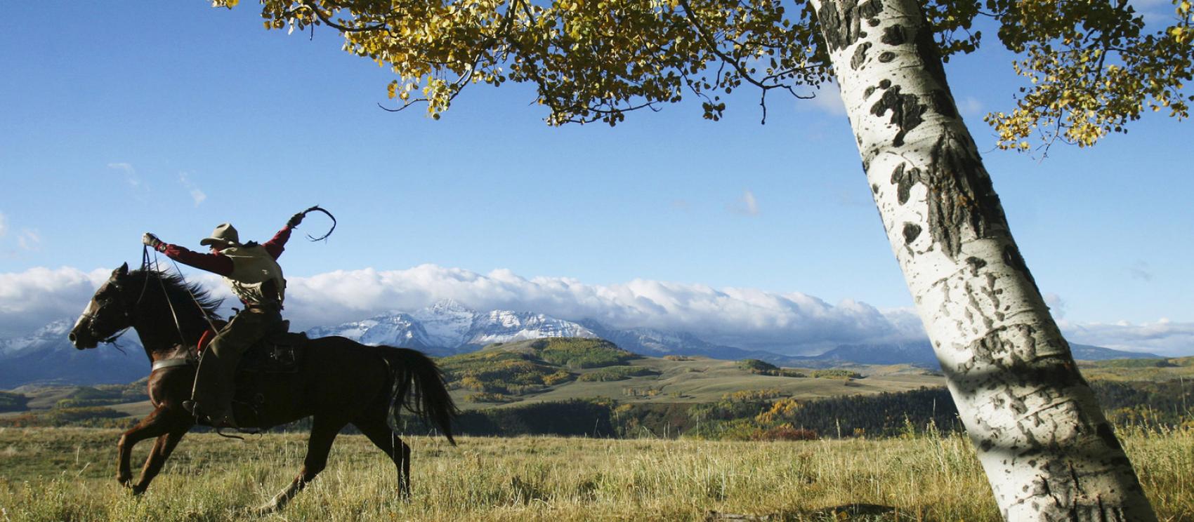 特柳賴德的山嶺風光與騎馬活動