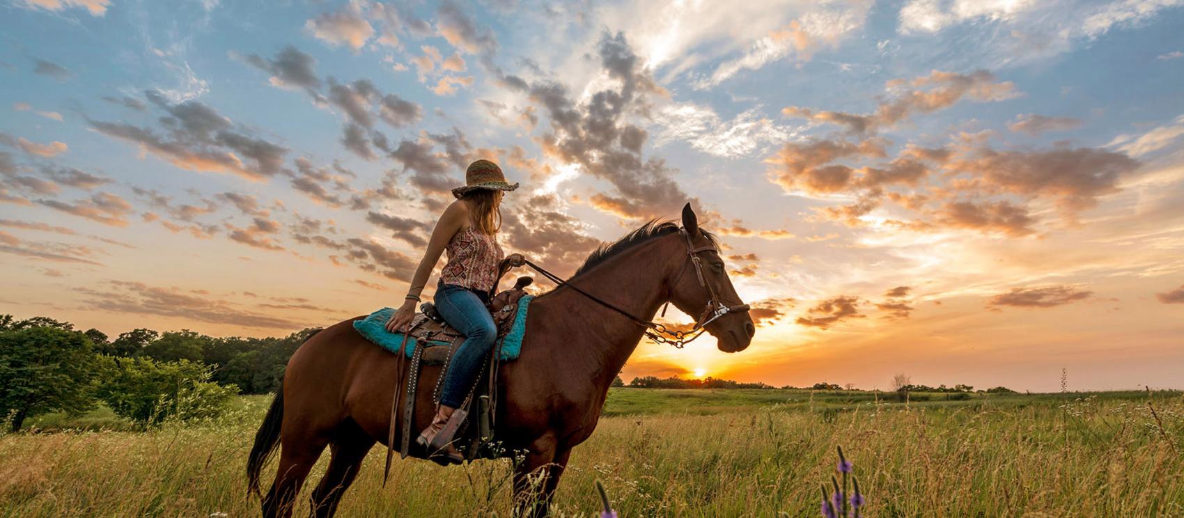 騎馬探索 Circle S 牧場