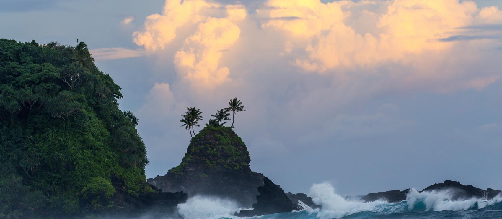 帕果帕果港四周的茂密山林景色