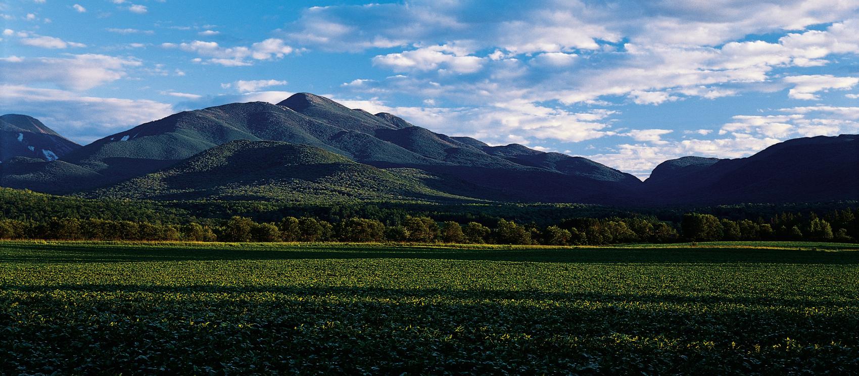 在普萊西德湖，阿迪朗達克的印第安山口，背景為阿岡昆峰