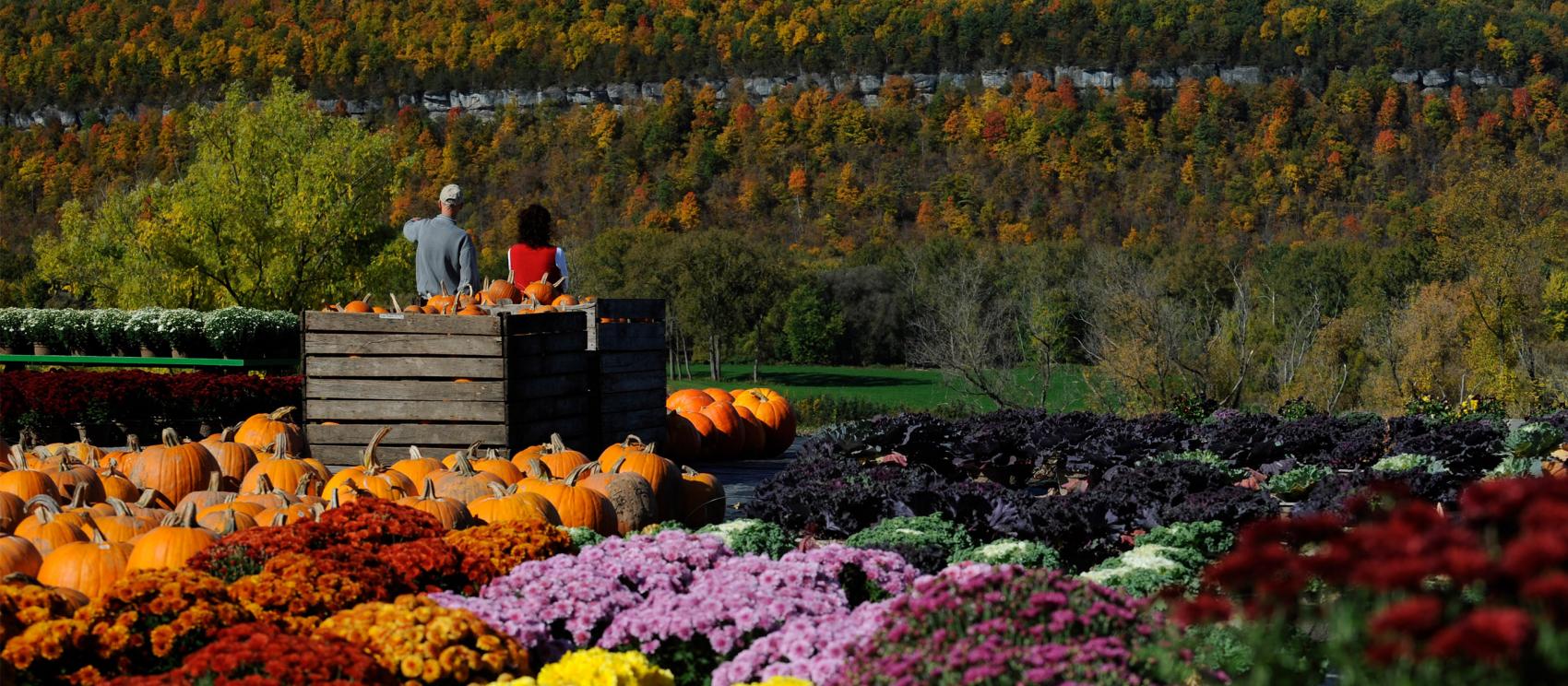 紐約州中部的繽紛秋景