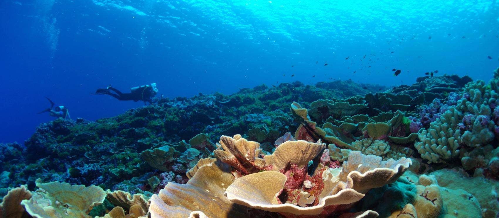 帕果帕果沙灘邊的水岸屋