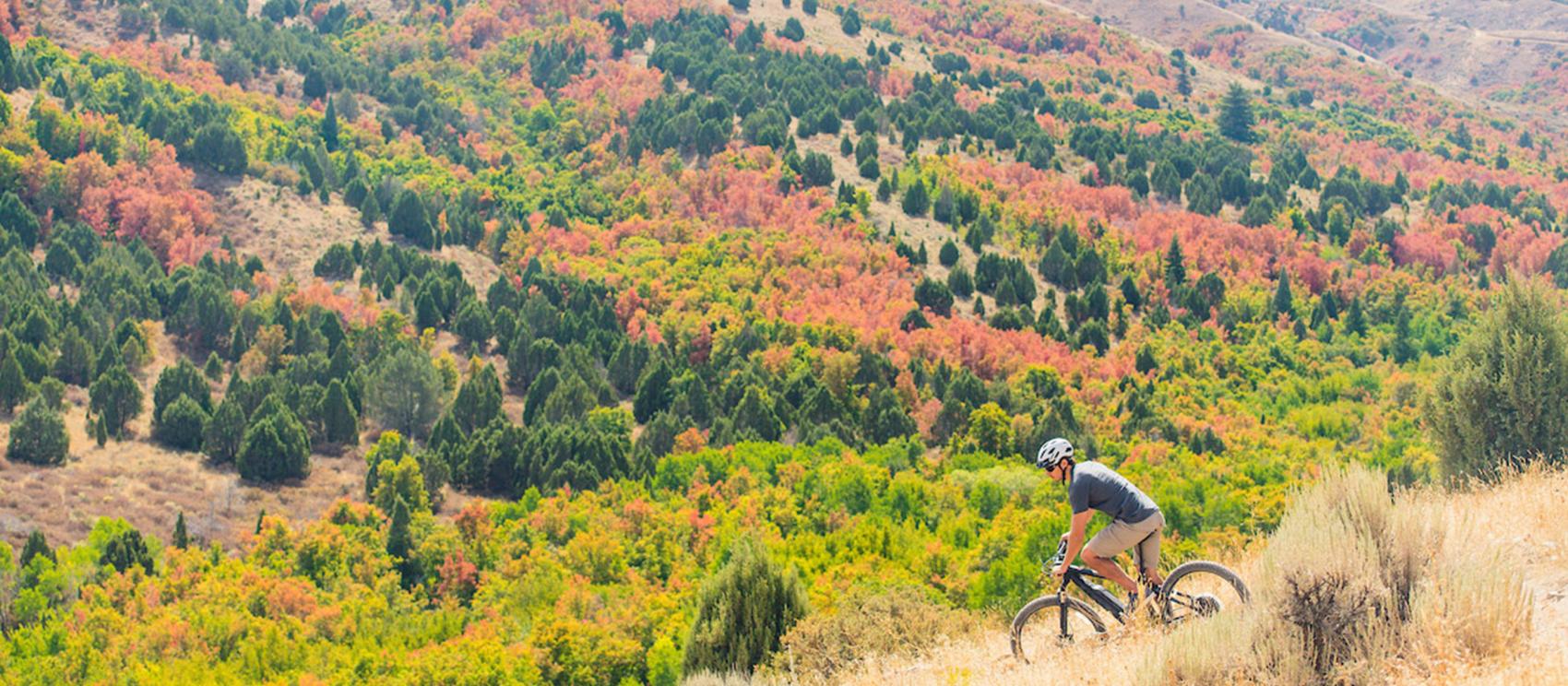 波卡特洛秋季越野自行車之旅