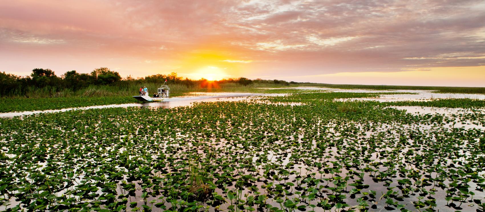 乘坐氣墊船遊覽大沼澤地