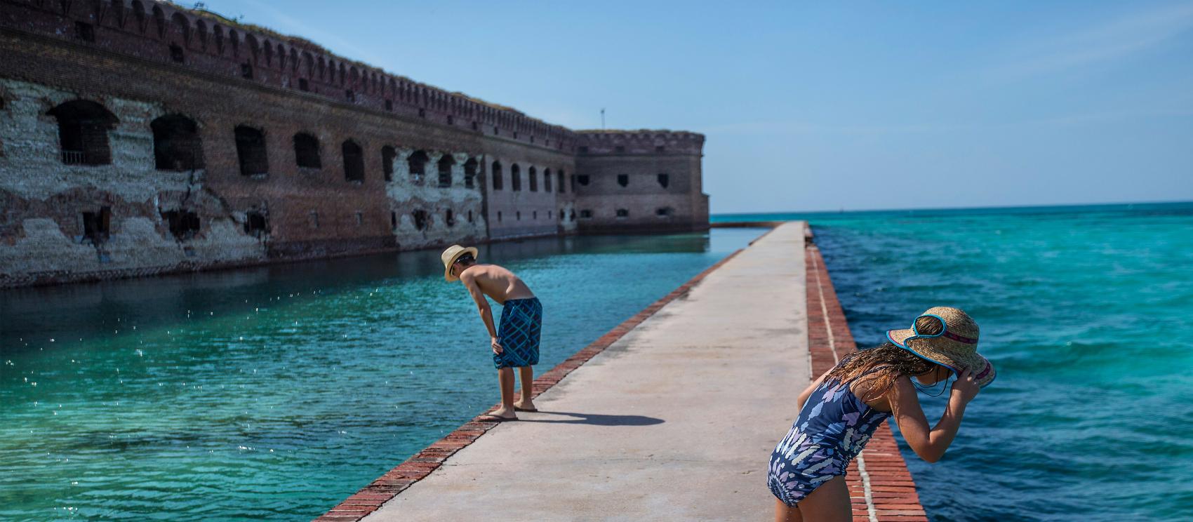 在海龜國家公園觀察傑佛遜堡珊瑚礁的海洋生態