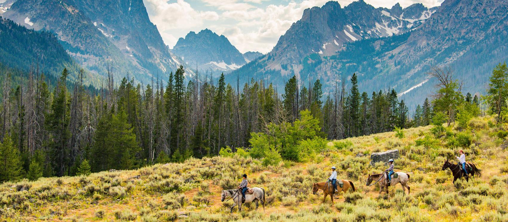 在史坦利紅魚湖小屋的荒野騎馬
