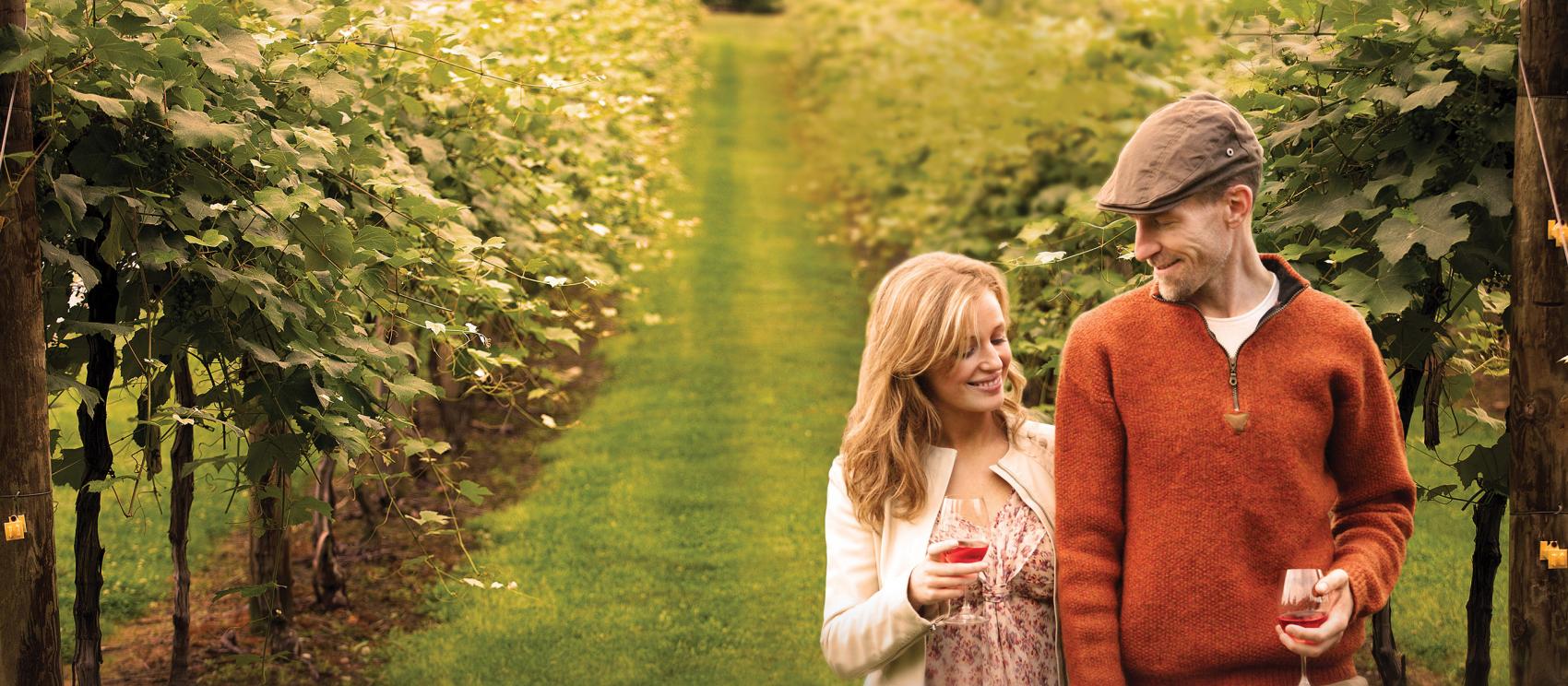 漫步在華沙傳統葡萄園酒莊的葡萄藤之間