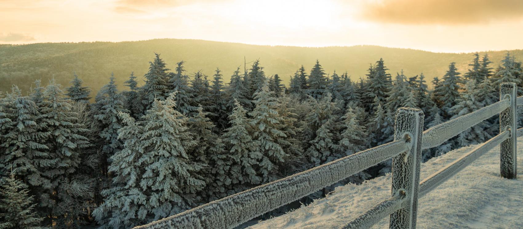 A peaceful winter morning at Snowshoe Mountain Resort A peaceful winter morning at Snowshoe Mountain Resort