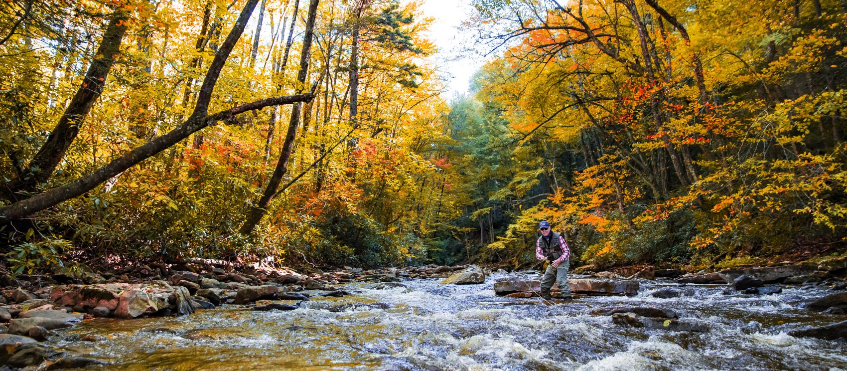 Fly-fishing in the Cranberry Glades Botanical Area of Monongahela National Forest Fly-fishing in the Cranberry Glades Botanical Area of Monongahela National Forest