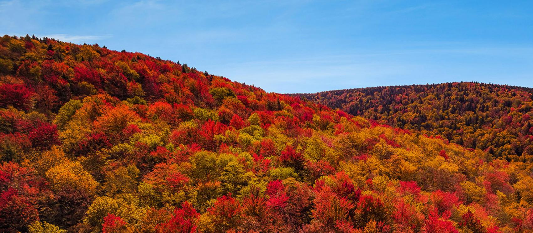 The colors of autumn blanketing the mountains The colors of autumn blanketing the mountains