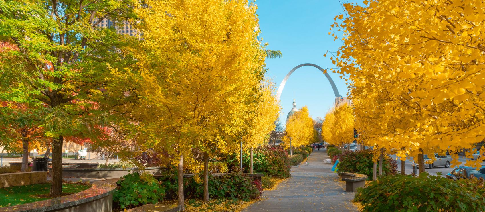 View of the Gateway Arch in St. Louis, Missouri, on an autumn day