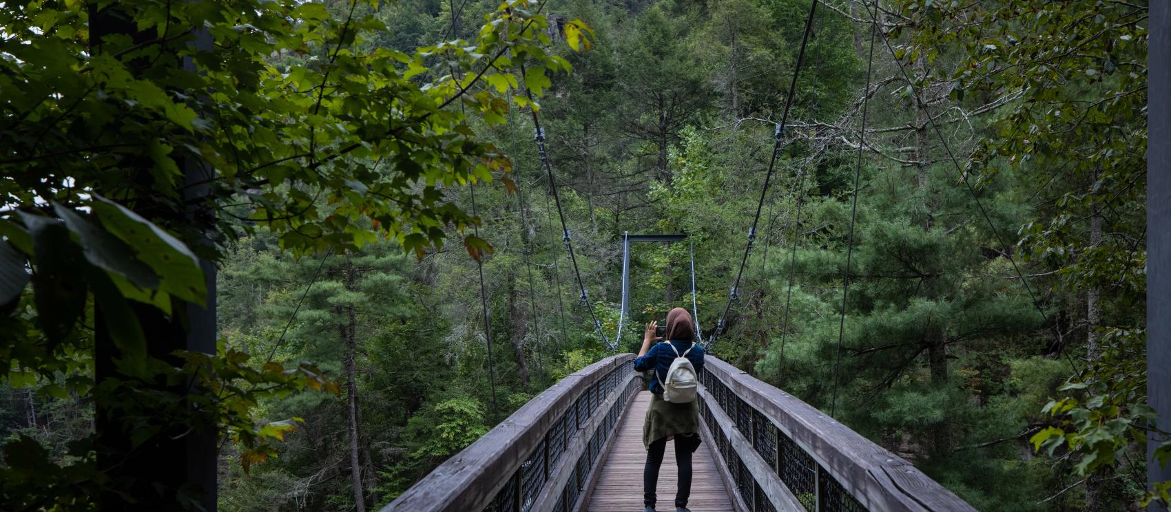 Photographing the view from the suspension bridge in Tallulah Gorge State Park