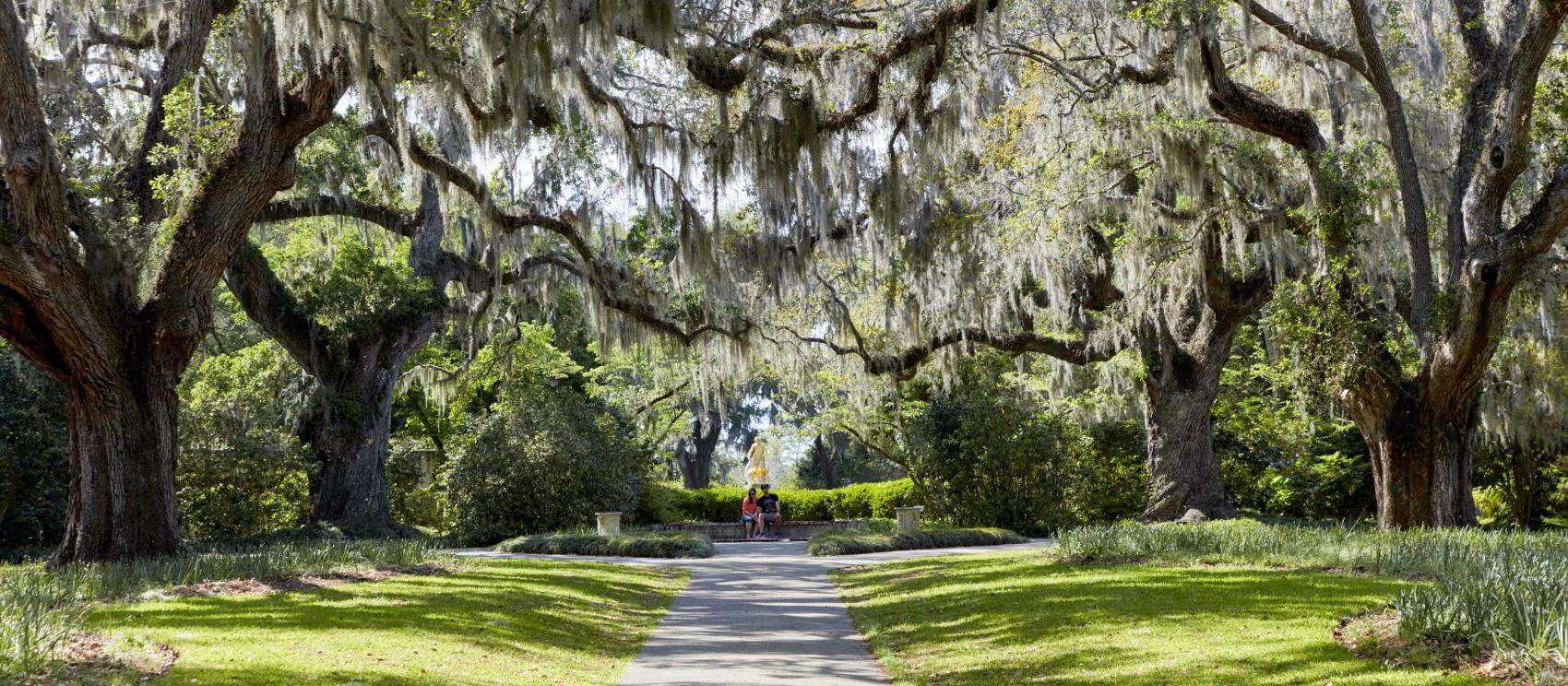 A peaceful moment among the trees at Brookgreen Gardens in Murrells Inlet A peaceful moment among the trees at Brookgreen Gardens in Murrells Inlet