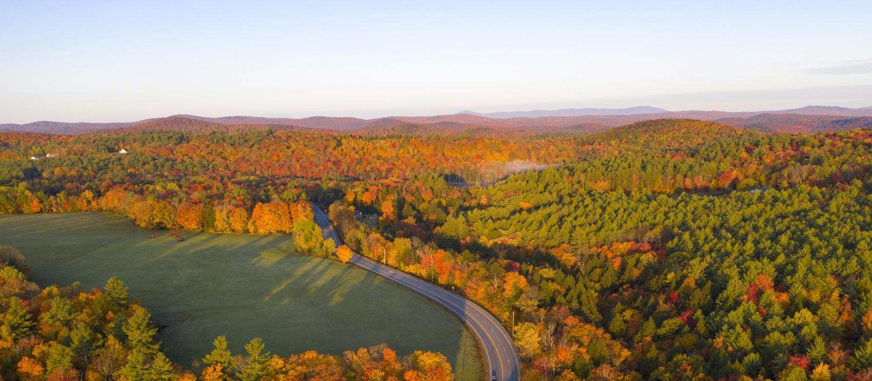 Blazing autumn colors surrounding a winding road in Marlboro