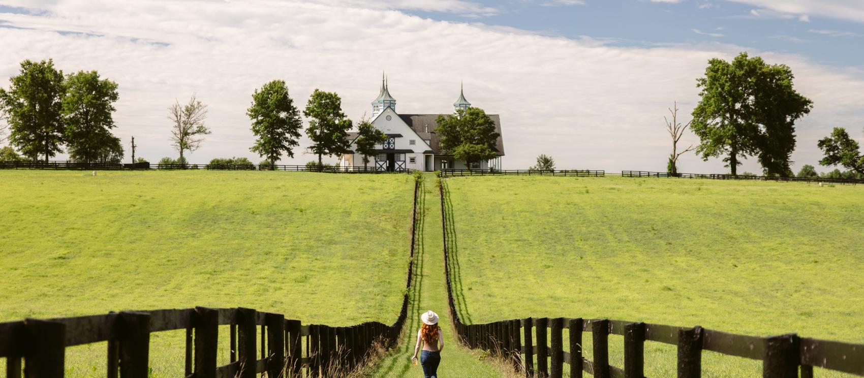 A scenic stroll at Lexington Horse Farm