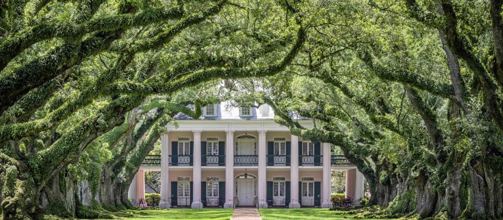 Oak Alley Plantation, a historic estate in Vacherie